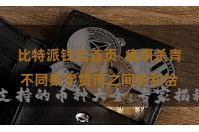 比特派钱包首页 疲塌杀青不同数字货币之间的和洽