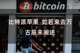 比特派苹果 如若来去万古辰未阐述