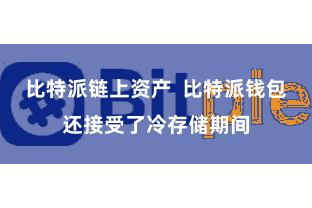 比特派链上资产 比特派钱包还接受了冷存储期间