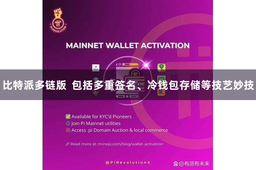 比特派多链版  包括多重签名、冷钱包存储等技艺妙技