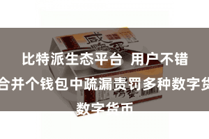 比特派生态平台  用户不错在合并个钱包中疏漏责罚多种数字货币