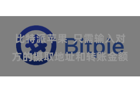 比特派苹果  只需输入对方的摄取地址和转账金额