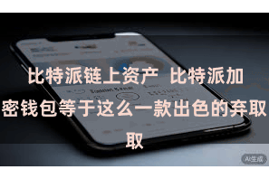 比特派链上资产  比特派加密钱包等于这么一款出色的弃取