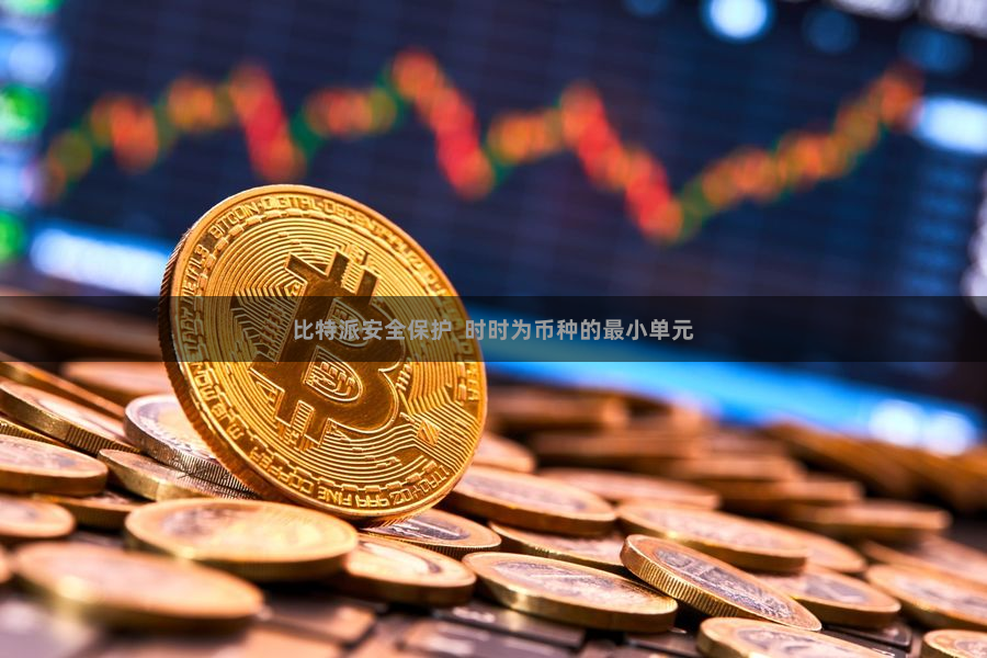 比特派安全保护  时时为币种的最小单元
