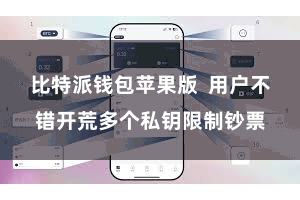 比特派钱包苹果版  用户不错开荒多个私钥限制钞票