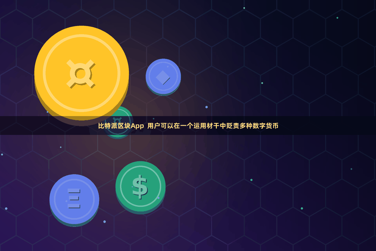 比特派区块App  用户可以在一个运用材干中贬责多种数字货币